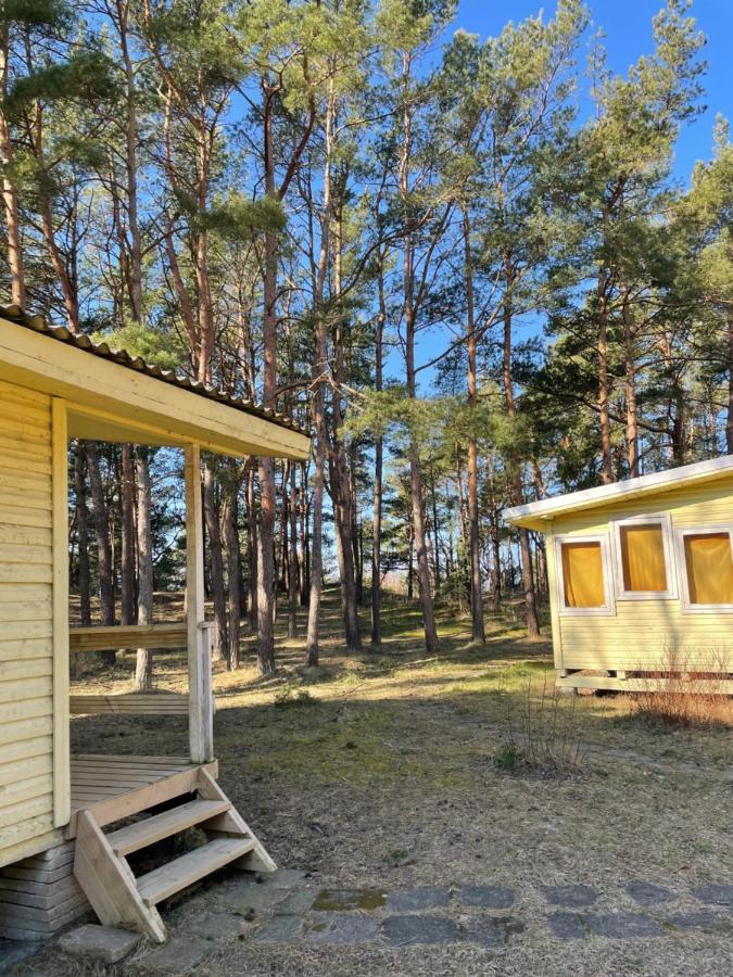 Lodge Energetikas • Nameliai Prie Juros *